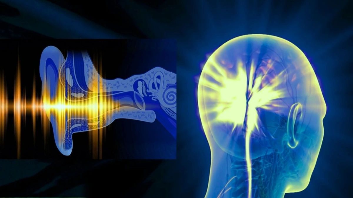 Scientific diagram of the auditory neural pathway from ear to brain showing disruption